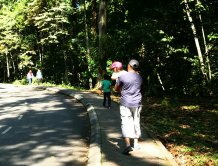 Bringing children to the Forest Institute of Malaysia (FRIM) in Kepong is a good way to introduce them to nature. Pic: Moor Street Media/Az Karim